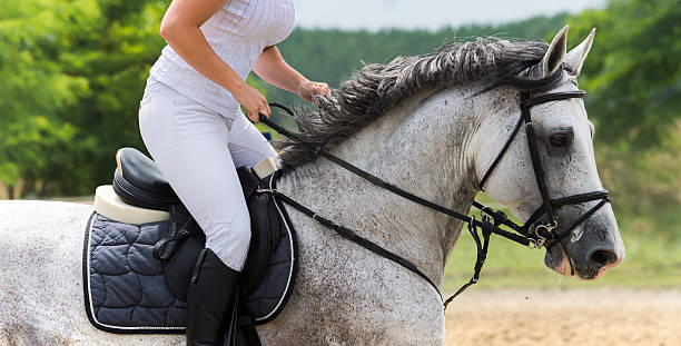 istock Girl riding a horse 543441112