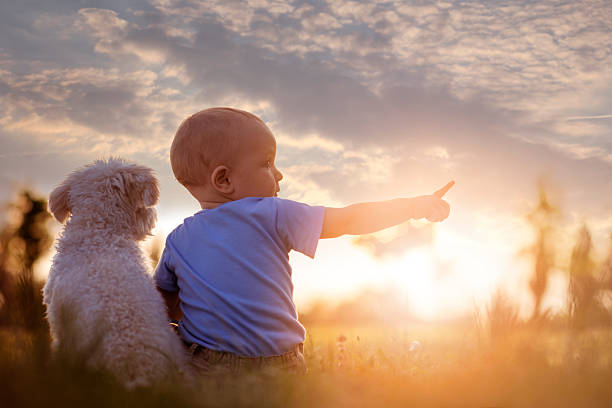 istock Little boy and his puppy 543442248