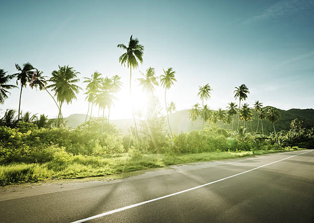 istock empty road in jungle of Seychelles islands 543442488
