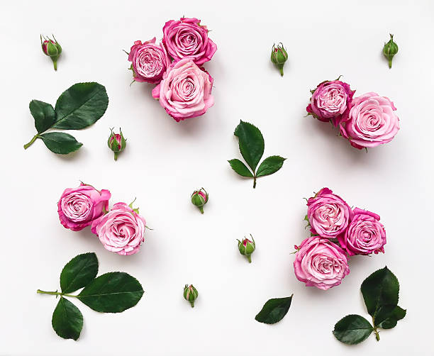 istock Decorative frame with pink bright roses and leaves 543442956