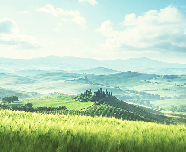 istock morning in Tuscany, Italy 543443116