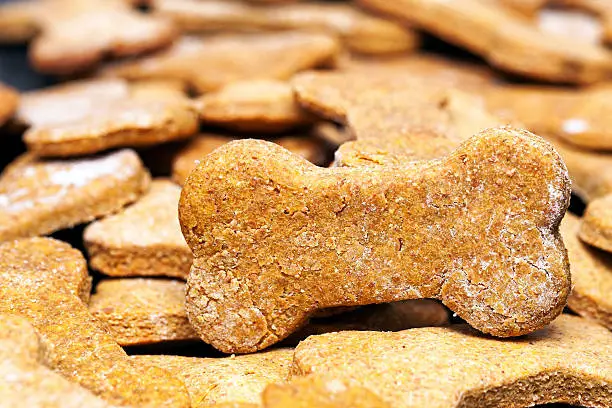 Large batch of bone-shaped homemade dog cookies with selective focus on one treat