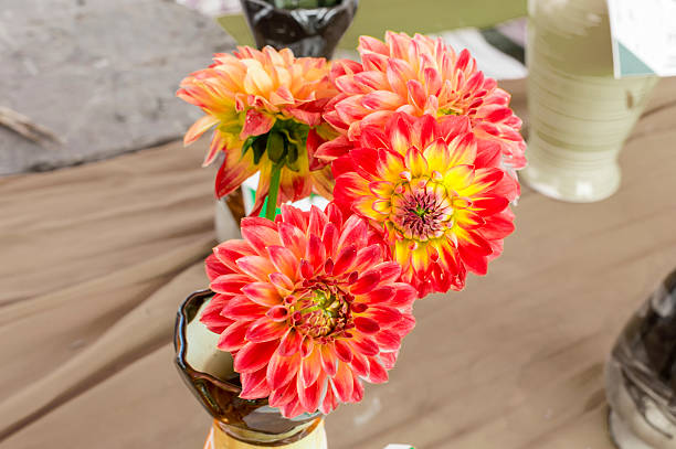 istock Red orange dahlia flowers in vase 543443752
