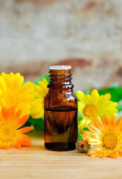 istock Small bottle of calendula oil (extract, tincture, infusion) 543444618