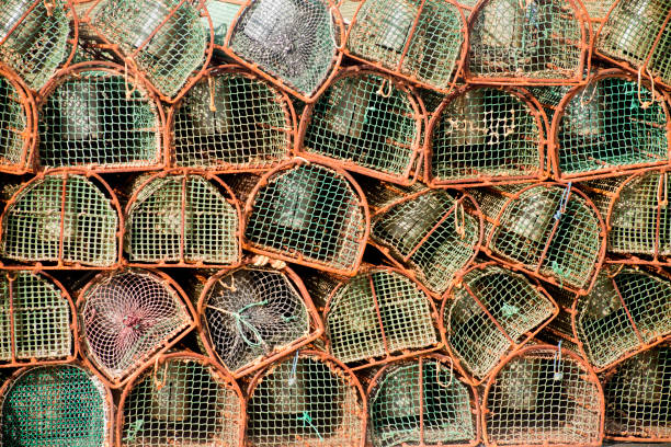 istock Heap of fishing net baskets on a harbor dock. 543444646