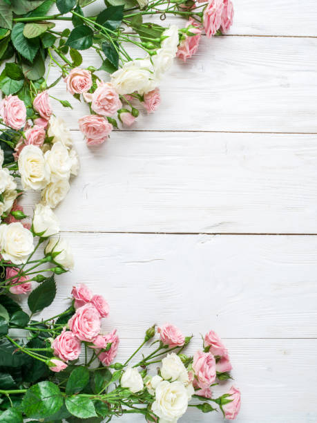 istock Delicate fresh roses on the wooden background. 543444688