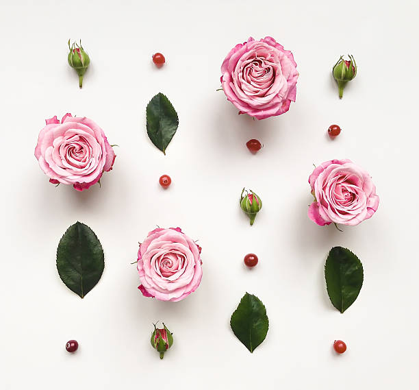 istock Decorative frame with pink bright roses and leaves 543448288
