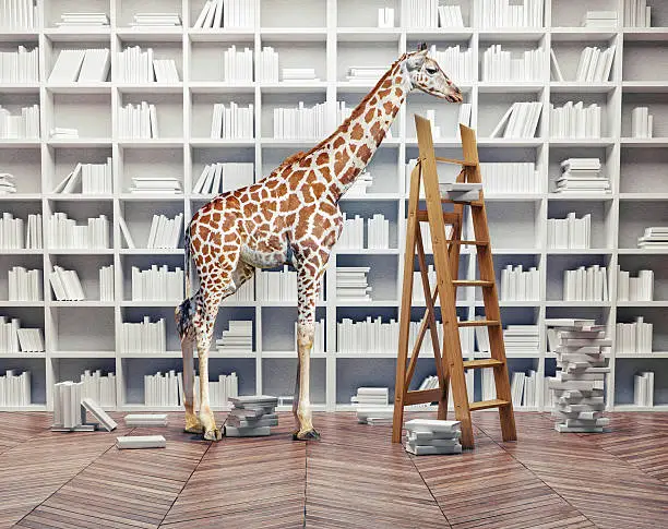 Photo of giraffe baby in the  library