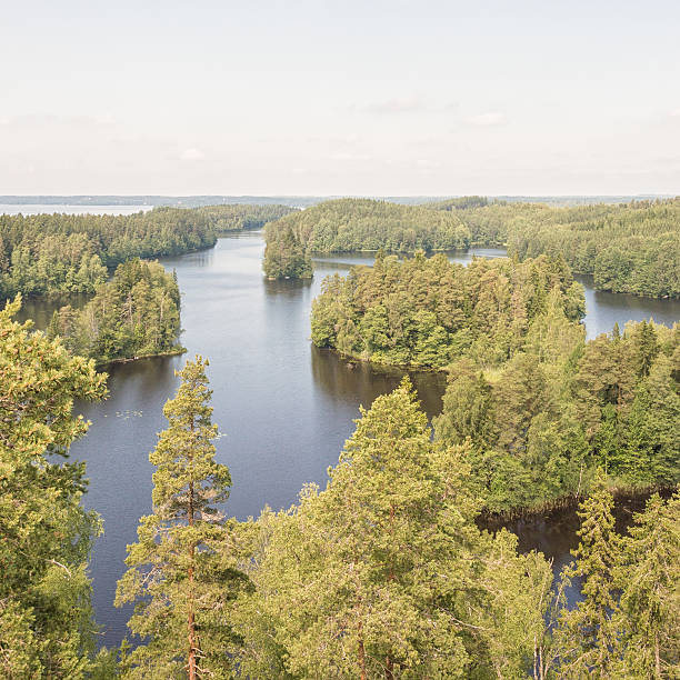 istock Summery forests and lakes in Finland 543451070