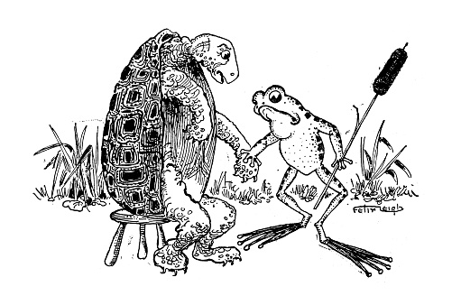 Antique children's book comic illustration: turtle and frog