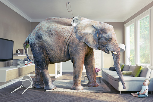 Big elephant and the baby  in the living room.Photo combination concept