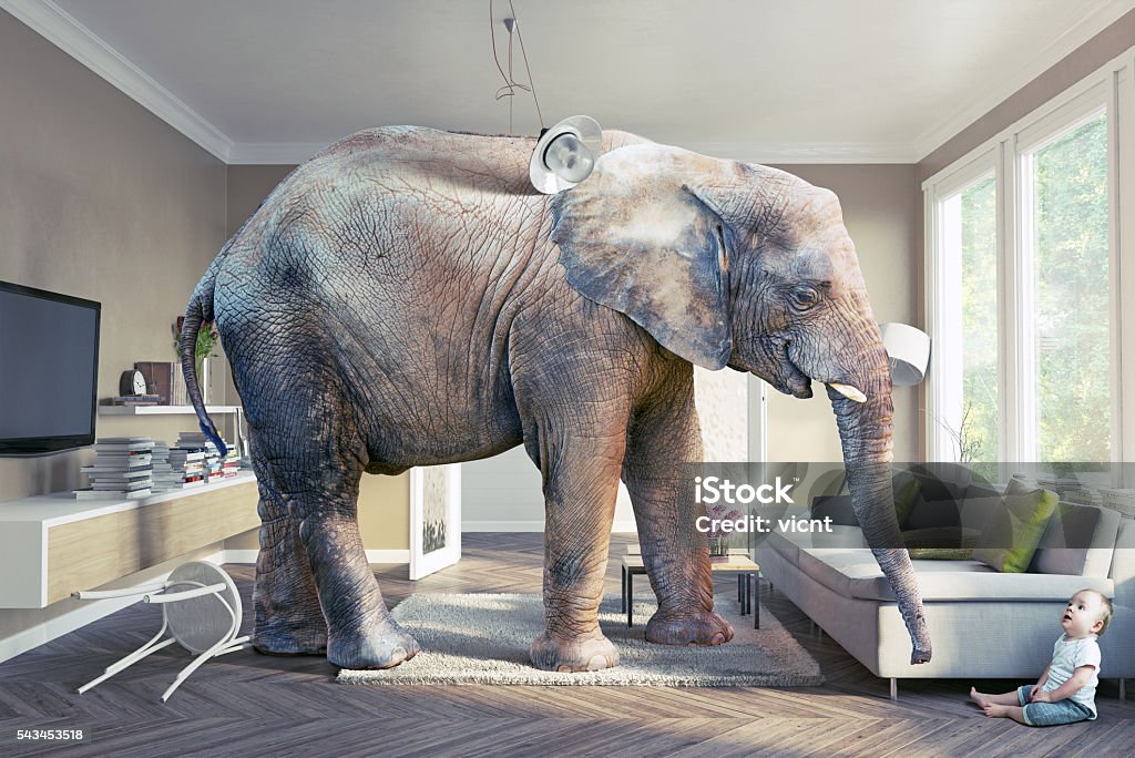 elephant and the baby Big elephant and the baby  in the living room.Photo combination concept Elephant Stock Photo