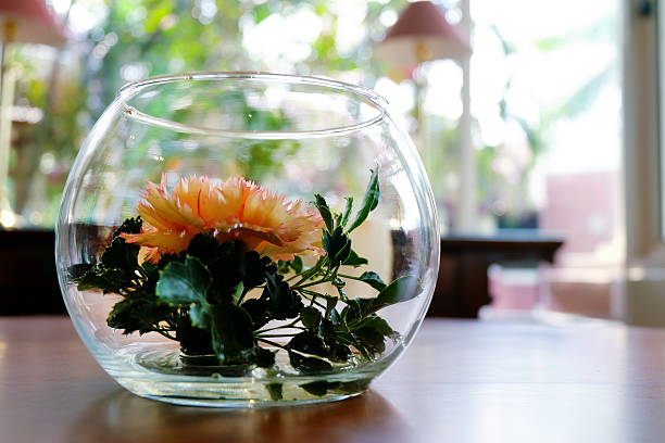 istock flowers in glass 543454162