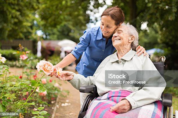 Senior Frau Sitzt Auf Einem Rollstuhl Mit Der Fürsorgliche Stockfoto und mehr Bilder von Häusliche Pflege