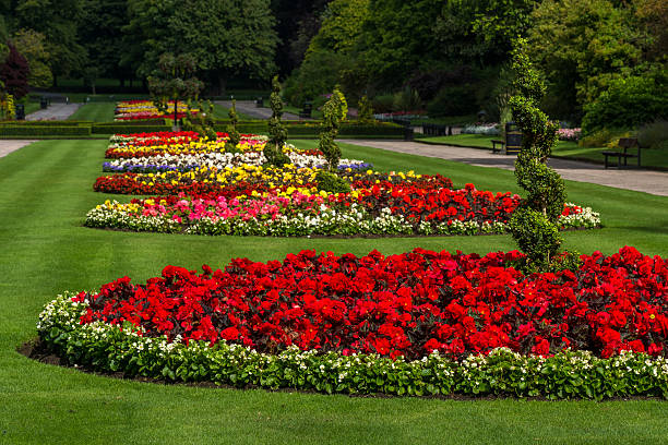istock Seaton Park Flowerbeds 543456314