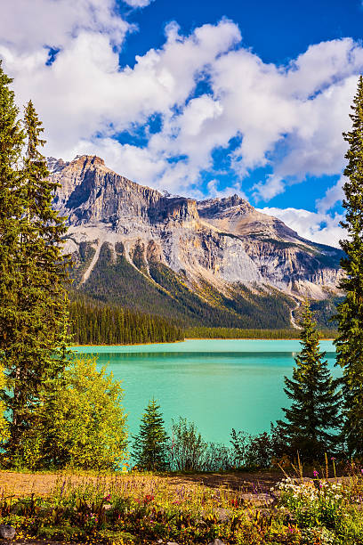 istock The morning in Rocky Mountains 543457160