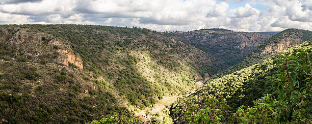 istock Mountain landscape, Upper Galilee in Israel 543457898