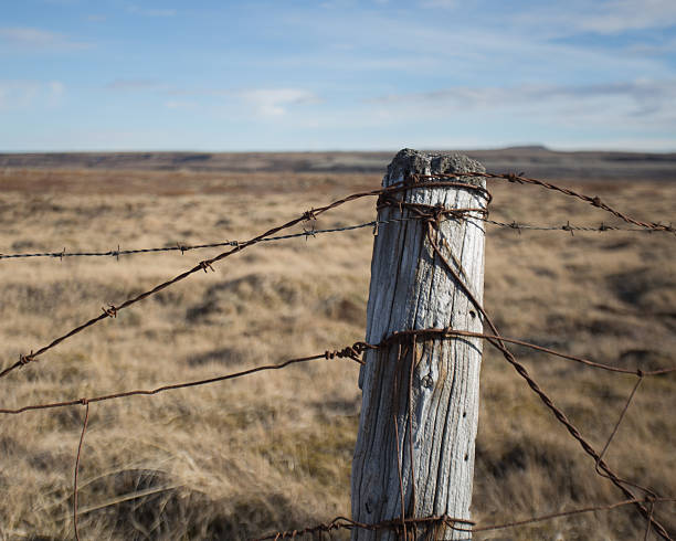 istock Old weathered fence in rural Iceland. 543458270
