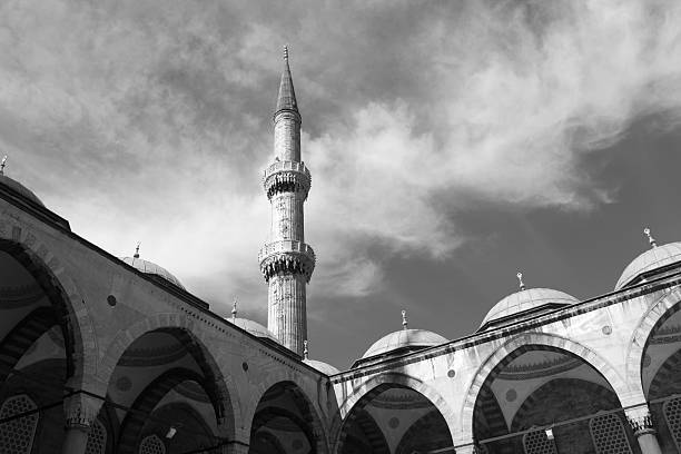 istock Detail from Blue Mosque in Istanbul 543458292