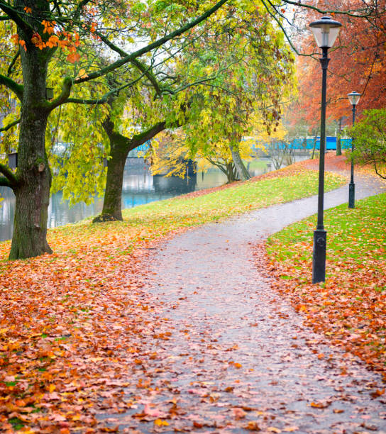 istock Gothenburg city park 543458696