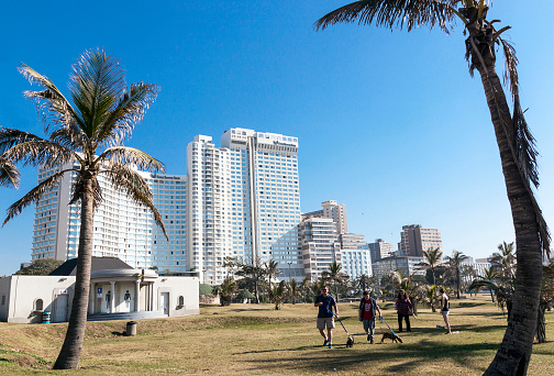 DURBAN, South Africa - June 26, 2016: Early morning four unknown adults walk dogs on grass area between palm trees against Golden Mile city skyline in Durban, South Africa