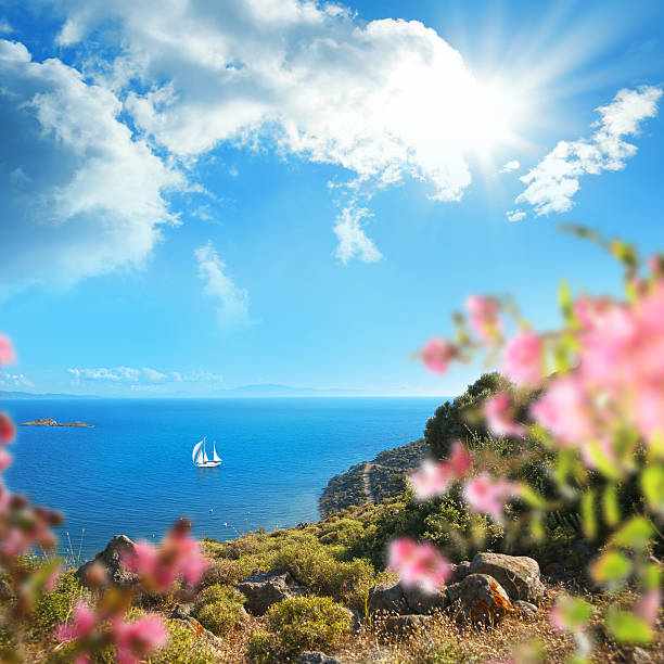 istock Little cove and sailing boat 543459954
