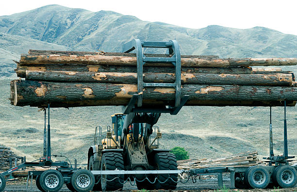 istock Stacker removing logs from truck in Washington state 543461234