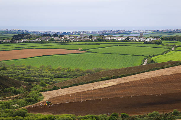 istock Field, Landscape, Sun, Farm, Sunlight 543464586