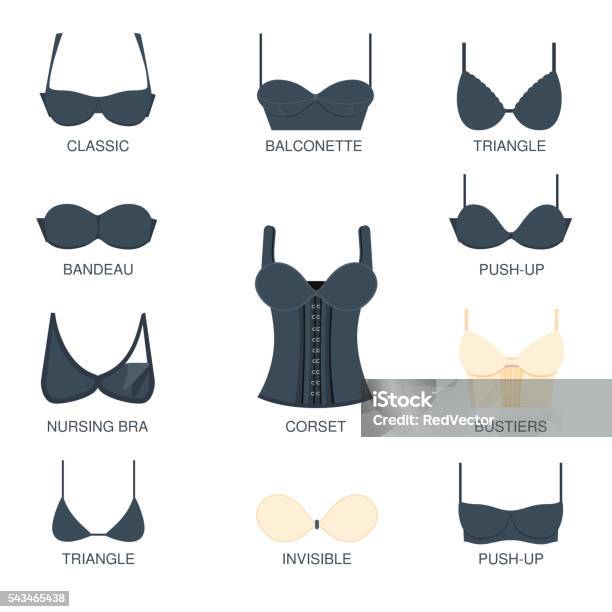 Different Types Of Bras Illustration Stock Illustration - Download Image  Now - Adult, Arts Culture and Entertainment, Bikini - iStock