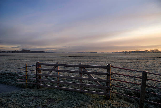 istock Frosted pasture near Wijngaarden 543467668