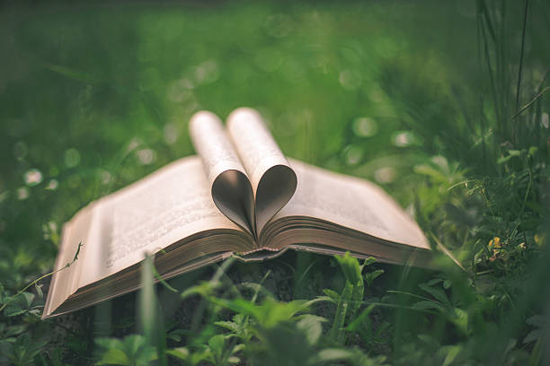 istock Close up heart shape from paper book on grass 543467830