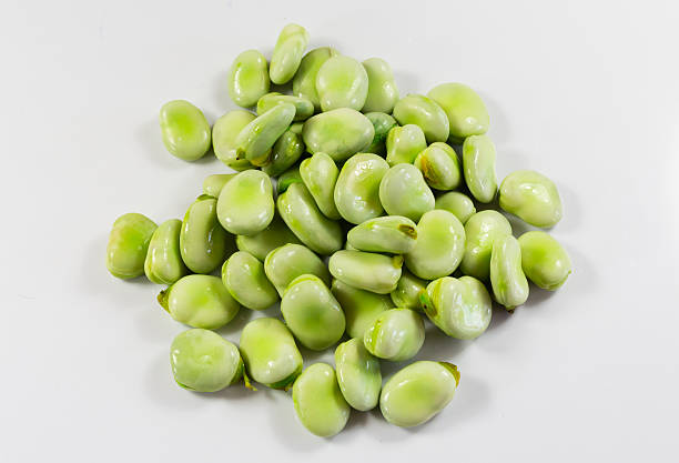 istock Pile of beans. 543467996