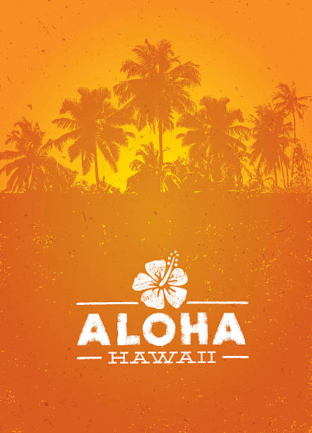 illustrazioni stock, clip art, cartoni animati e icone di tendenza di aloha hawaii creativo estate spiaggia tropicale vettoriale elemento di design - big island isola di hawaii