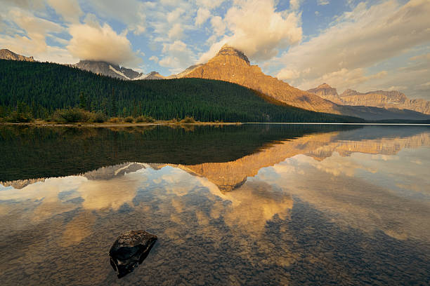 istock Waterfowl Lake sunrise 543471034