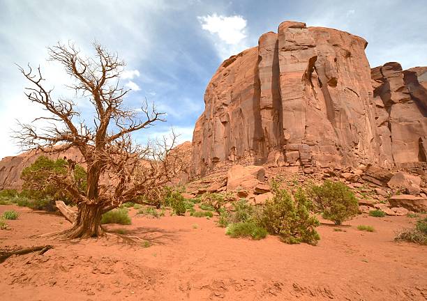 istock Monument Valley in Arizona 543472516