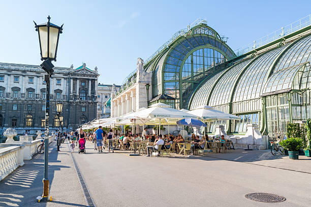 palmenhaus в кафе burggarten, вена, австрия - palm house стоковые фото и и�зображения