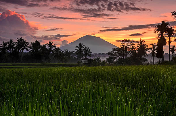 istock Colors of Morning 543477166