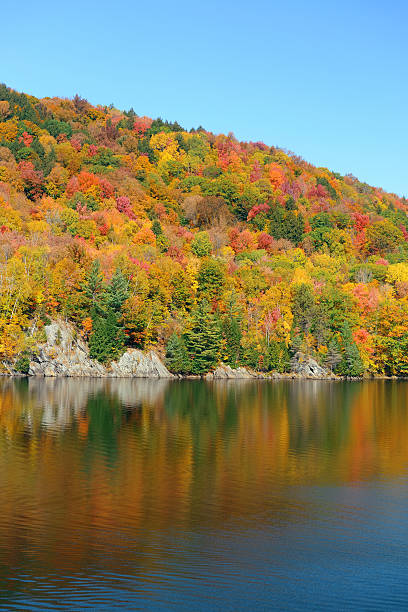 istock Lake Autumn Foliage 543477206