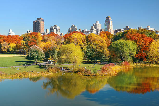 320+ Central Park East Stock Photos, Pictures & Royalty-Free Images ...