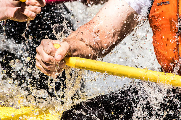 Gripping the Paddle through Sunshine Falls, Royal Gorge, CO The intesity of rafting the Royal Gorge at highwater can be pretty formidable.  Best thing to do is go hard.  Grip that paddle tight and hang on for the ride. rafting stock pictures, royalty-free photos & images