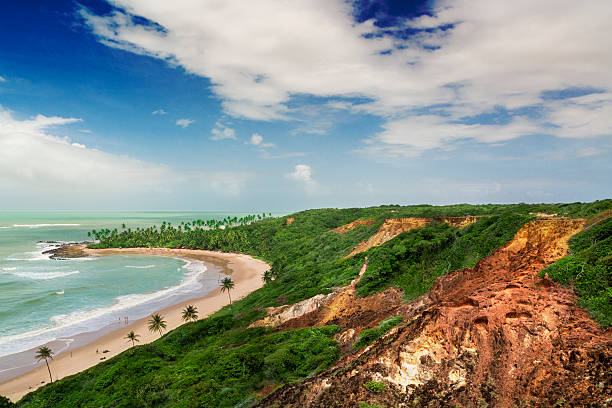 Coqueirinho Beach in Joao Pessoa, northeast of Brazil Joao Pessoa is the capital of the State of Paraiba paraiba stock pictures, royalty-free photos & images