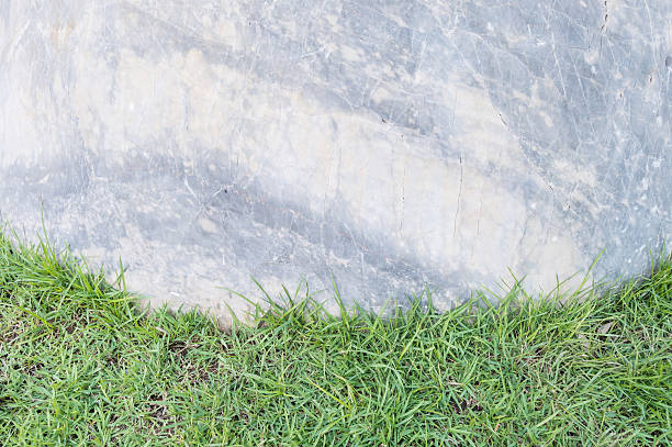 istock rock with green grass in the garden texture background 543482324