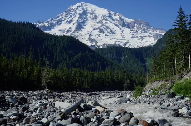 Mt. Rainier Rise Central Washington's Cascade Range. mt rainier national park stock pictures, royalty-free photos & images