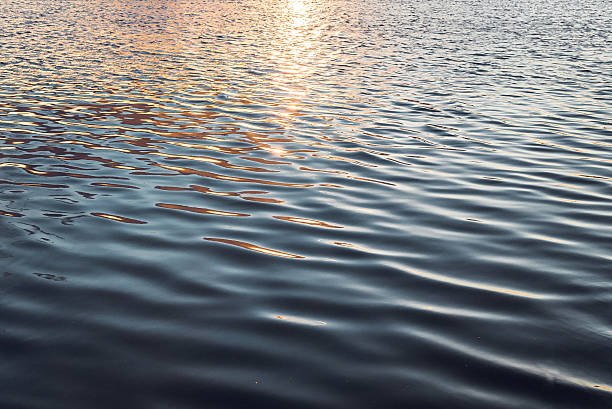 ondulations sur l’eau. le lac au soleil couchant - spaciousness photos et images de collection