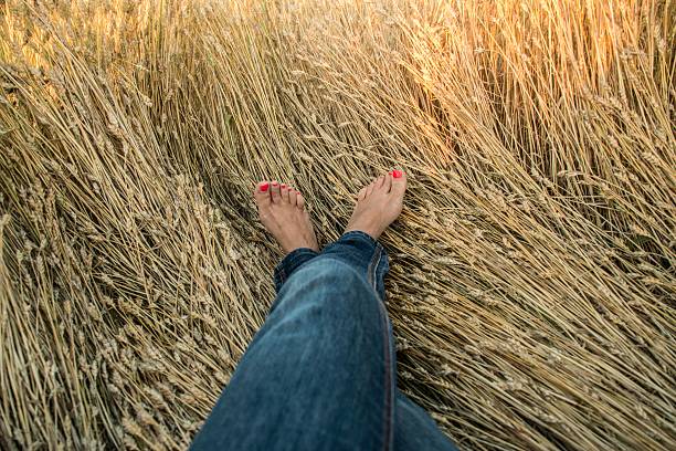 istock Legs crossed in grains 543483914