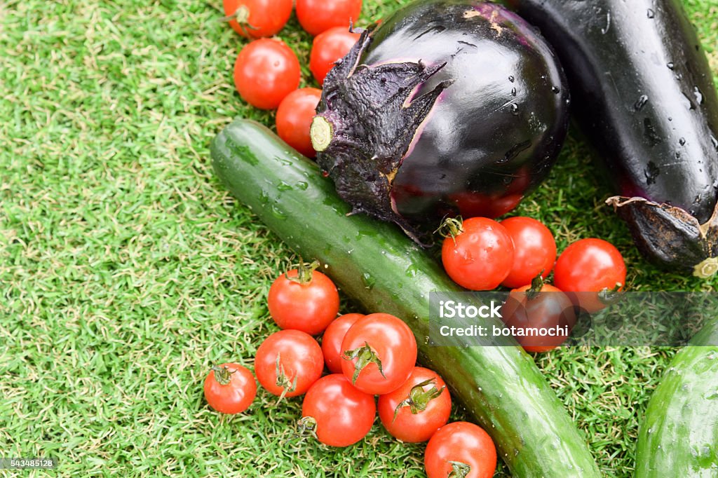 Verduras en el césped en verano - Foto de stock de Agricultura libre de derechos