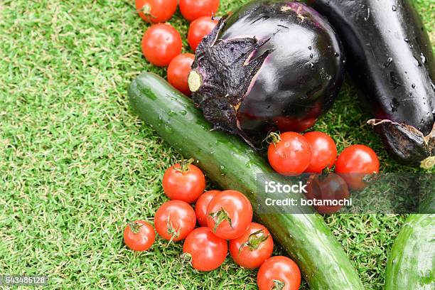 Verduras En El Césped En Verano Foto de stock y más banco de imágenes de Agricultura - Agricultura, Aire libre, Berenjena - Vegetal
