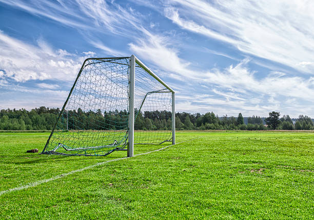istock Soccer Goal on Soccer Pitch 543554300