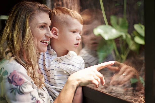 istock Mother showing interesting animals at the zoo 543554442