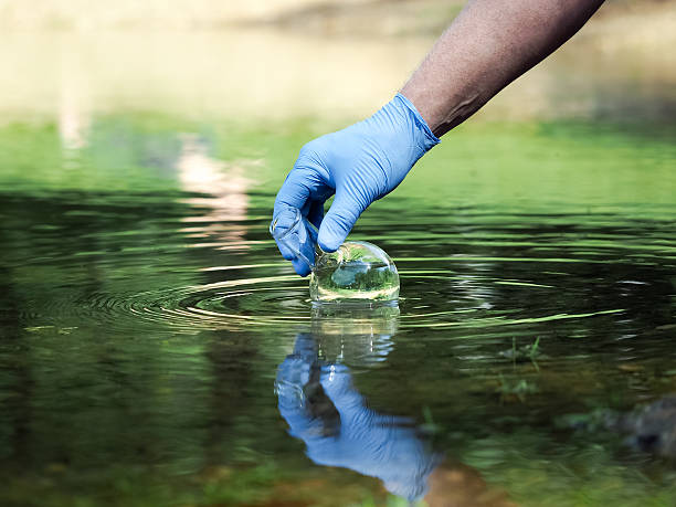 Hand in glove collects water to explore Water sample. Hand in glove collects water to explore. Concept - water purity analysis, environment, ecology. Water testing for infections, permission to swimWater sample. Hand in glove collects water to explore. Concept - water purity analysis, environment, ecology. Water testing for infections, permission to swim Impurities stock pictures, royalty-free photos & images